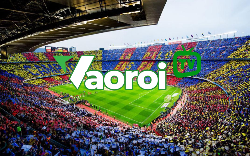 vao-roi-tv-cap-nhat-bang-xep-hang-bong-da-chinh-xac